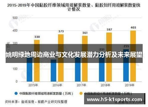 姚明绿地周边商业与文化发展潜力分析及未来展望