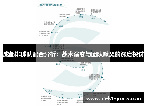 成都排球队配合分析：战术演变与团队默契的深度探讨